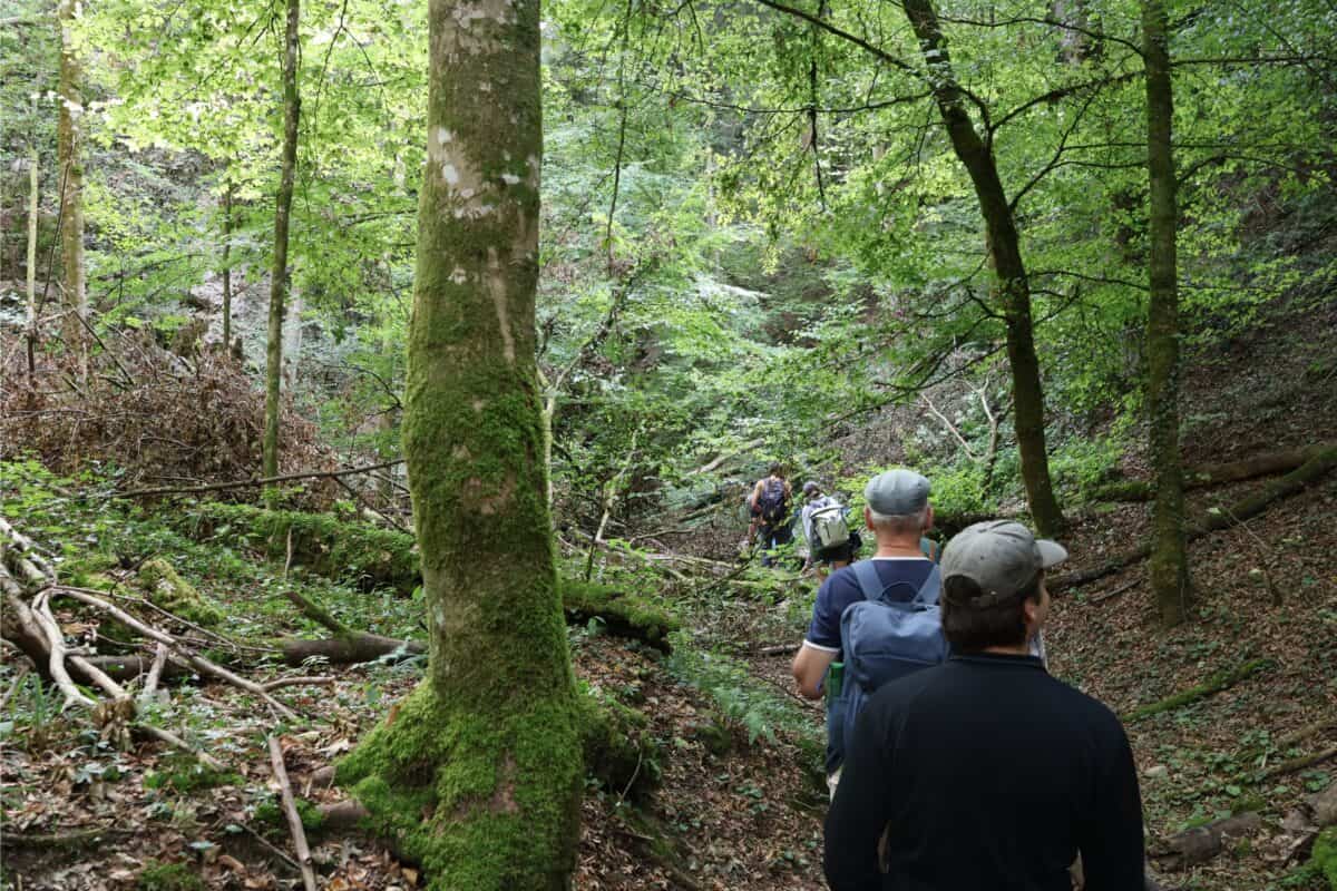 Die Exkursionsgruppe in einem wilden Tälchen im Naturwaldreservat Teufelskeller.